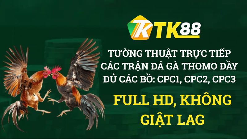 Đá Gà TK88 đầy đủ các bồ đang có trên thị trường